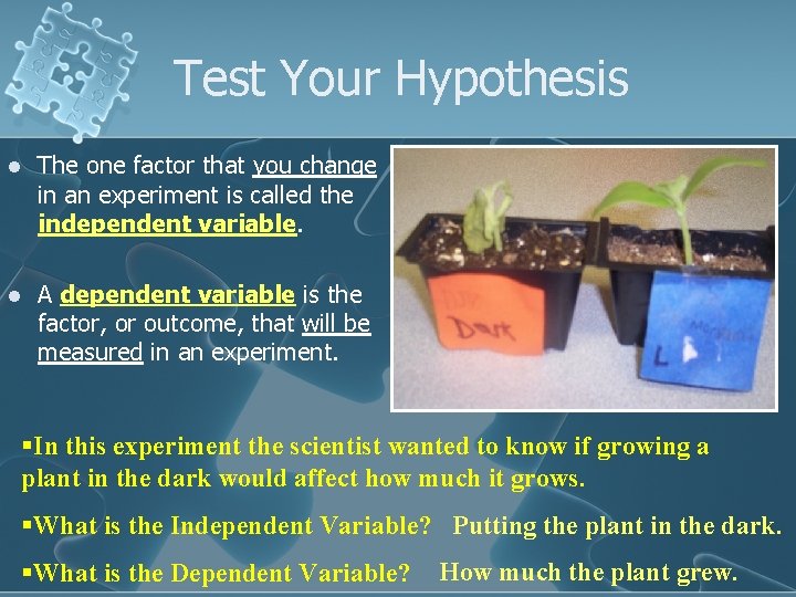 Test Your Hypothesis l The one factor that you change in an experiment is