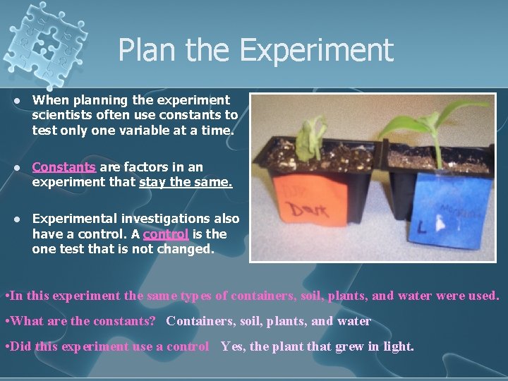 Plan the Experiment l When planning the experiment scientists often use constants to test