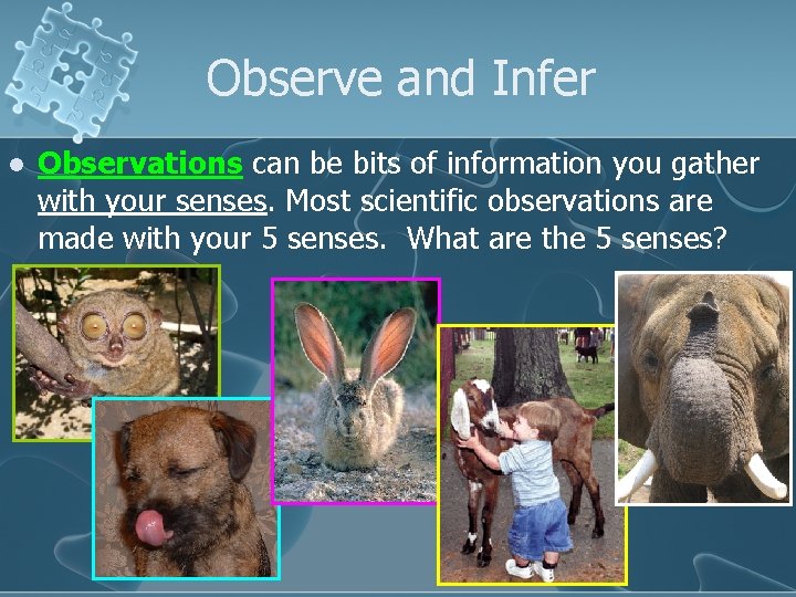 Observe and Infer l Observations can be bits of information you gather with your