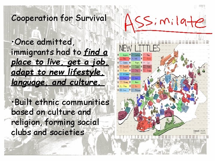Cooperation for Survival • Once admitted, immigrants had to find a place to live,