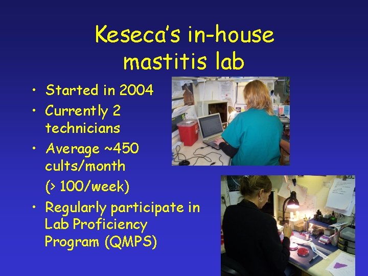 Keseca’s in-house mastitis lab • Started in 2004 • Currently 2 technicians • Average