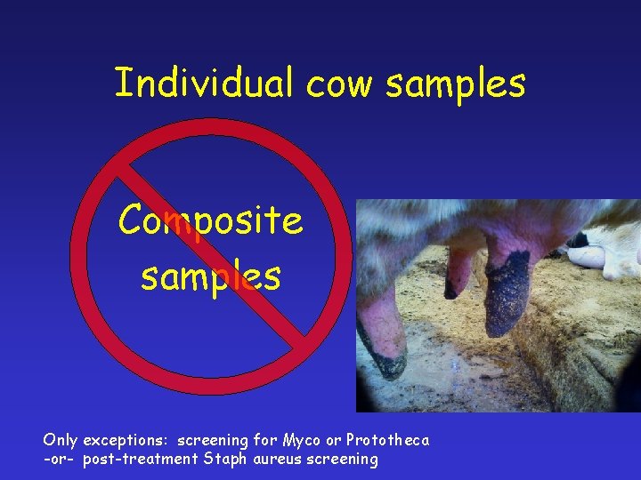 Individual cow samples Composite samples Only exceptions 1. Screening for mycoplasma or prototheca 2.