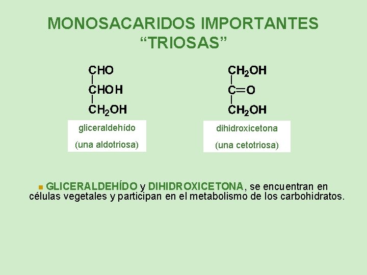 MONOSACARIDOS IMPORTANTES “TRIOSAS” gliceraldehído dihidroxicetona (una aldotriosa) (una cetotriosa) GLICERALDEHÍDO y DIHIDROXICETONA, se encuentran
