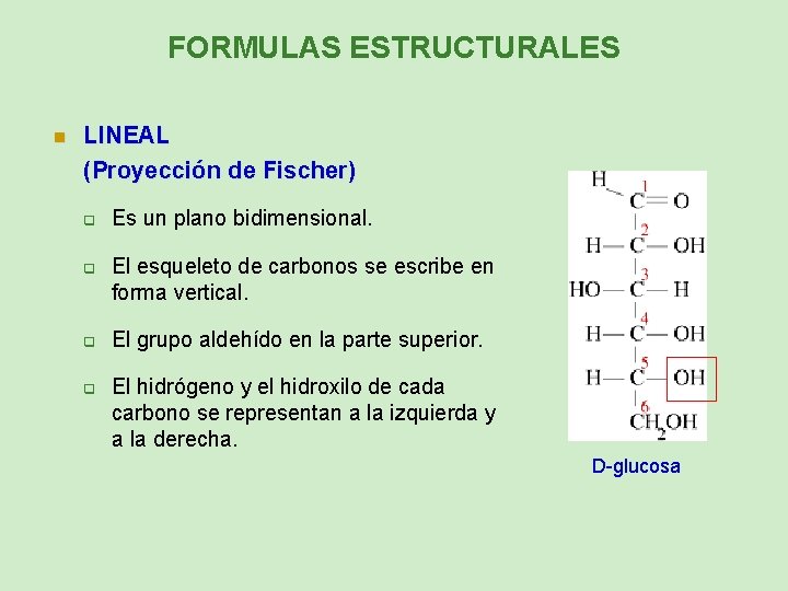 FORMULAS ESTRUCTURALES n LINEAL (Proyección de Fischer) q q Es un plano bidimensional. El
