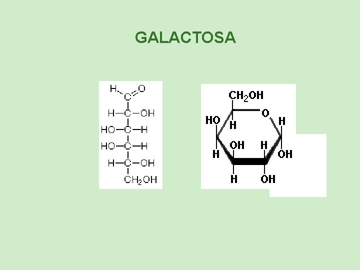 GALACTOSA 