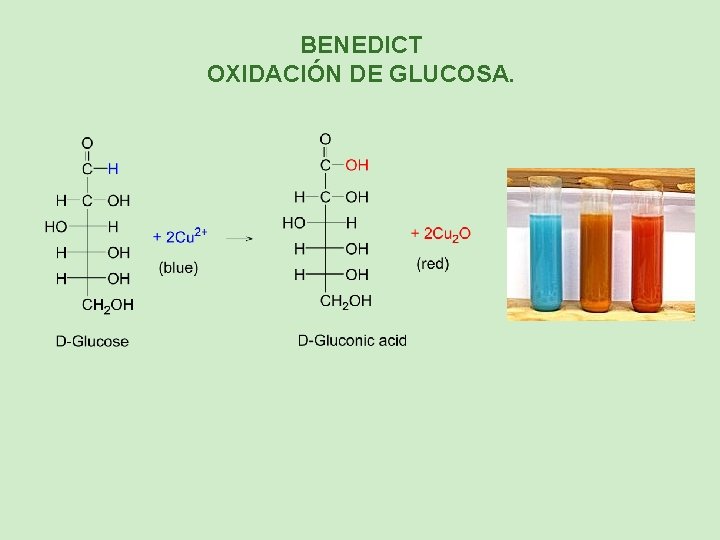 BENEDICT OXIDACIÓN DE GLUCOSA. 