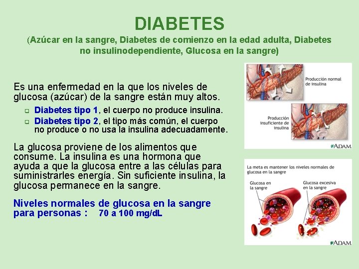 DIABETES (Azúcar en la sangre, Diabetes de comienzo en la edad adulta, Diabetes no