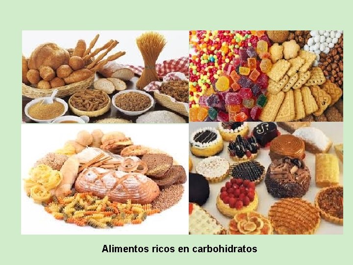 Alimentos ricos en carbohidratos 