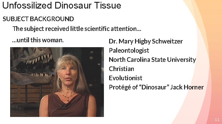 Unfossilized Dinosaur Tissue SUBJECT BACKGROUND The subject received little scientific attention… …until this woman.