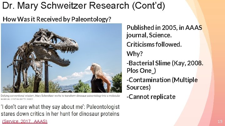 Dr. Mary Schweitzer Research (Cont’d) How Was it Received by Paleontology? Published in 2005,
