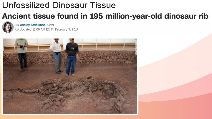 Unfossilized Dinosaur Tissue 