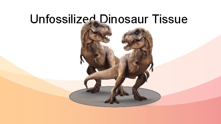 Unfossilized Dinosaur Tissue 