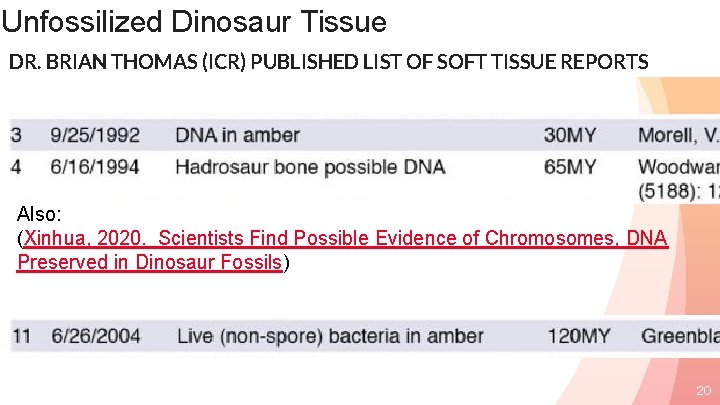 Unfossilized Dinosaur Tissue DR. BRIAN THOMAS (ICR) PUBLISHED LIST OF SOFT TISSUE REPORTS Also:
