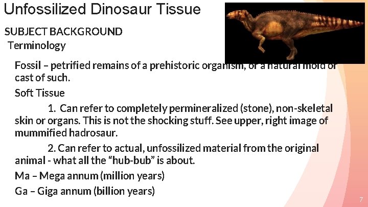 Unfossilized Dinosaur Tissue SUBJECT BACKGROUND Terminology Fossil – petrified remains of a prehistoric organism,