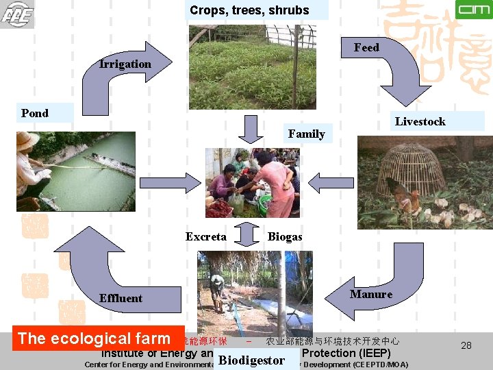 Crops, trees, shrubs Feed Irrigation Pond Livestock Family Excreta Biogas Manure Effluent The ecological