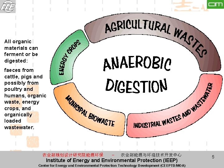 All organic materials can ferment or be digested: faeces from cattle, pigs and possibly