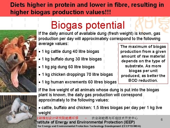 Diets higher in protein and lower in fibre, resulting in higher biogas production values!!!