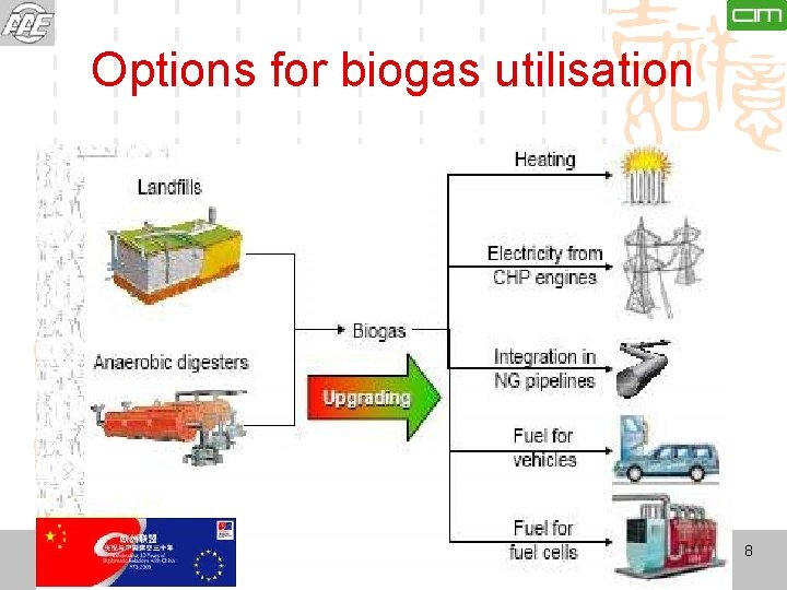 Options for biogas utilisation 农业部规划设计研究院能源环保 - 农业部能源与环境技术开发中心 Institute of Energy and Environmental Protection (IEEP)