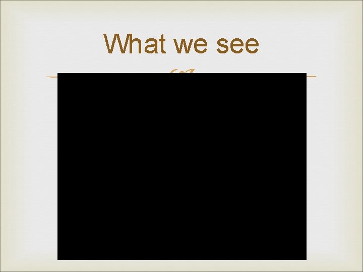 What we see 