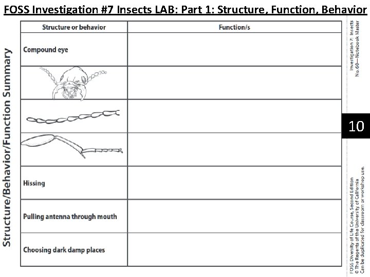 FOSS Investigation #7 Insects LAB: Part 1: Structure, Function, Behavior 10 