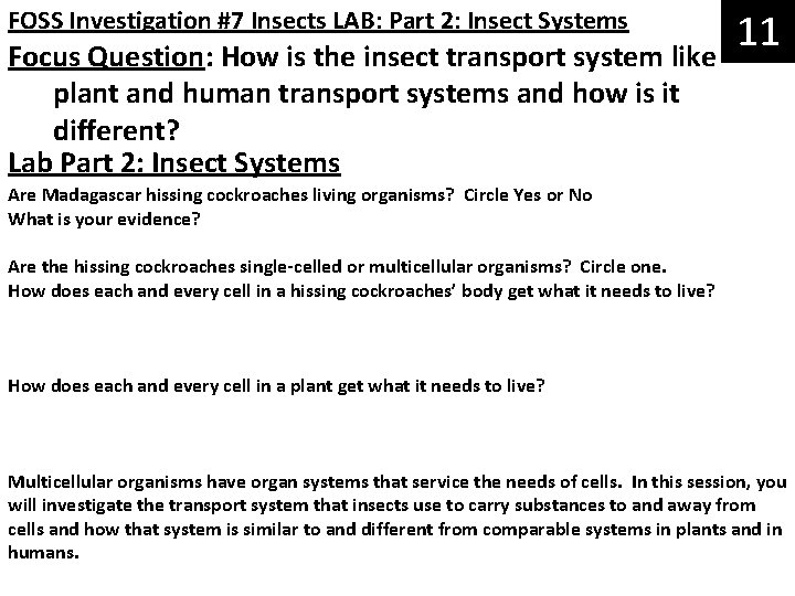11 Focus Question: How is the insect transport system like FOSS Investigation #7 Insects