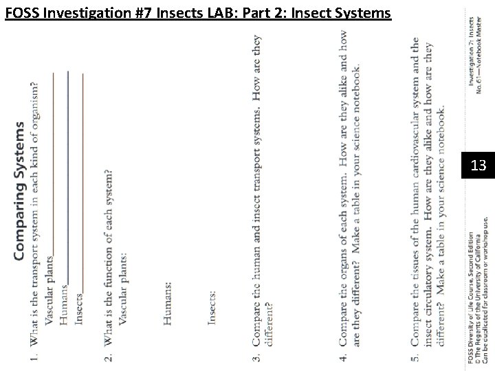 FOSS Investigation #7 Insects LAB: Part 2: Insect Systems 13 