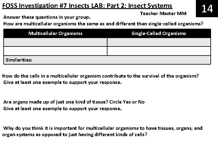 FOSS Investigation #7 Insects LAB: Part 2: Insect Systems Teacher Master MM 14 Answer