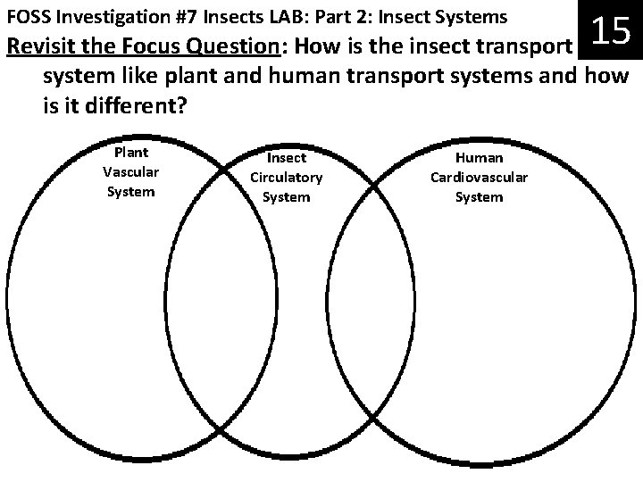 FOSS Investigation #7 Insects LAB: Part 2: Insect Systems 15 Revisit the Focus Question: