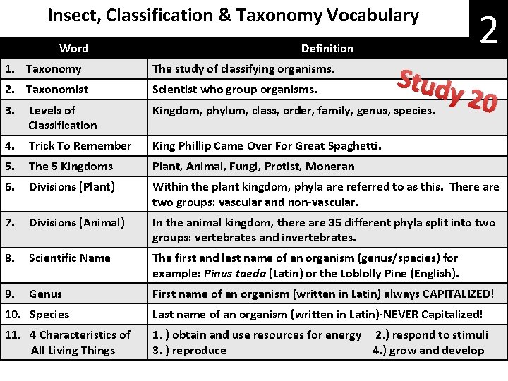 Insect, Classification & Taxonomy Vocabulary Word 2 Definition Stud 1. Taxonomy The study of