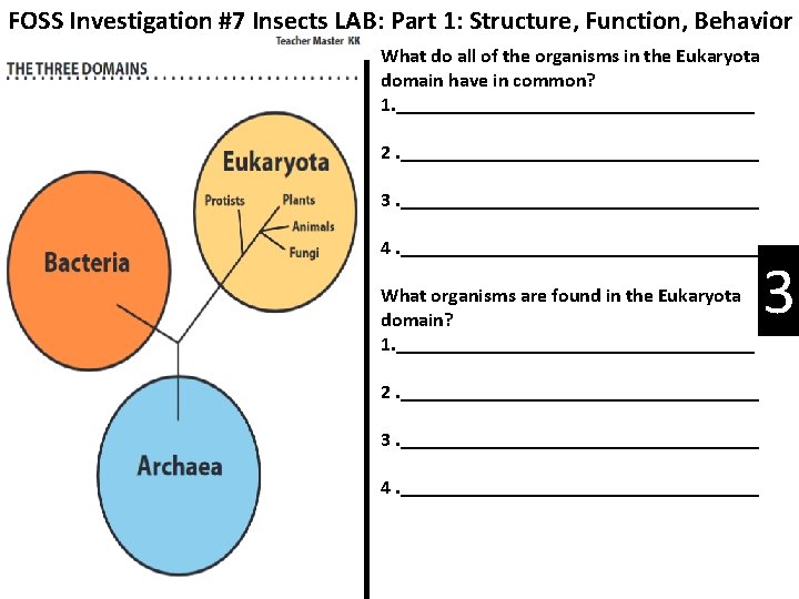 FOSS Investigation #7 Insects LAB: Part 1: Structure, Function, Behavior What do all of