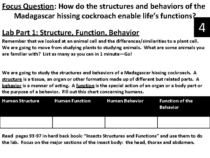 Focus Question: How do the structures and behaviors of the Madagascar hissing cockroach enable