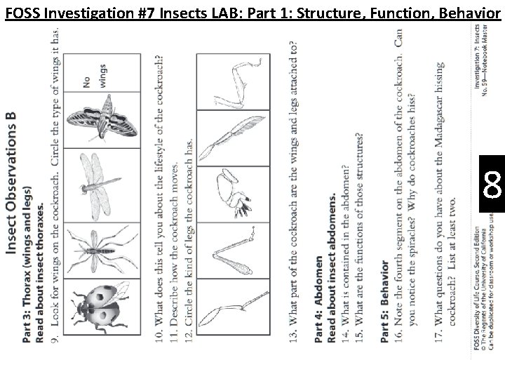 FOSS Investigation #7 Insects LAB: Part 1: Structure, Function, Behavior 8 