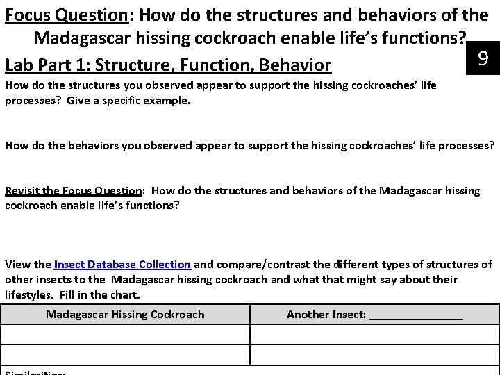 Focus Question: How do the structures and behaviors of the Madagascar hissing cockroach enable