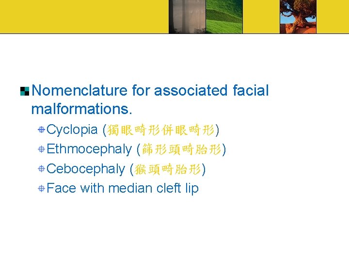 Nomenclature for associated facial malformations. Cyclopia (獨眼畸形併眼畸形) Ethmocephaly (篩形頭畸胎形) Cebocephaly (猴頭畸胎形) Face with median