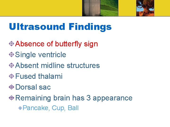Ultrasound Findings Absence of butterfly sign Single ventricle Absent midline structures Fused thalami Dorsal