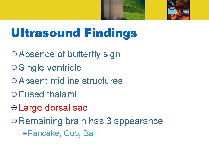 Ultrasound Findings Absence of butterfly sign Single ventricle Absent midline structures Fused thalami Large