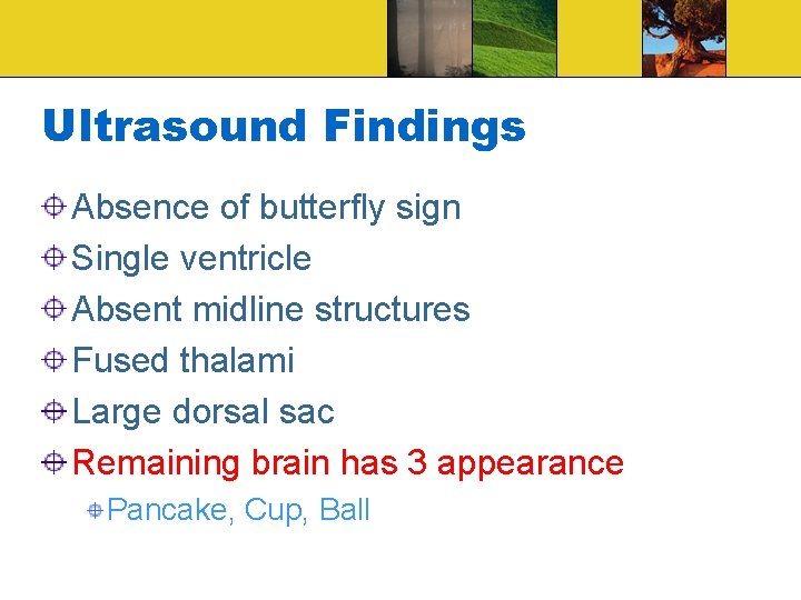 Ultrasound Findings Absence of butterfly sign Single ventricle Absent midline structures Fused thalami Large
