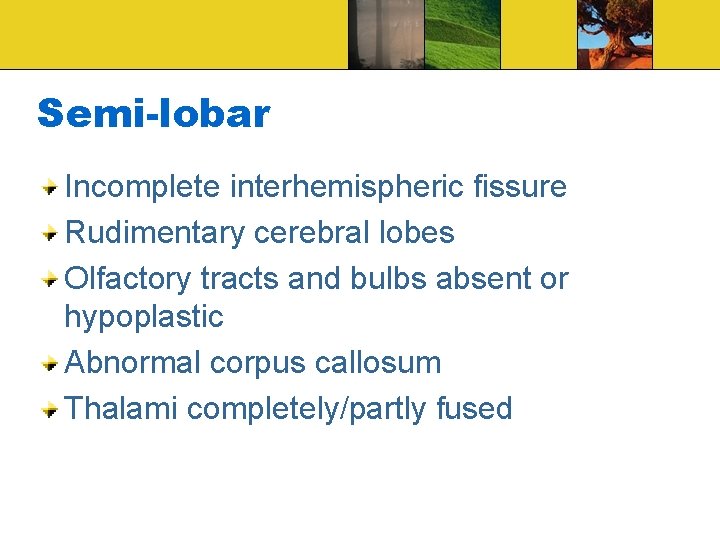 Semi-lobar Incomplete interhemispheric fissure Rudimentary cerebral lobes Olfactory tracts and bulbs absent or hypoplastic