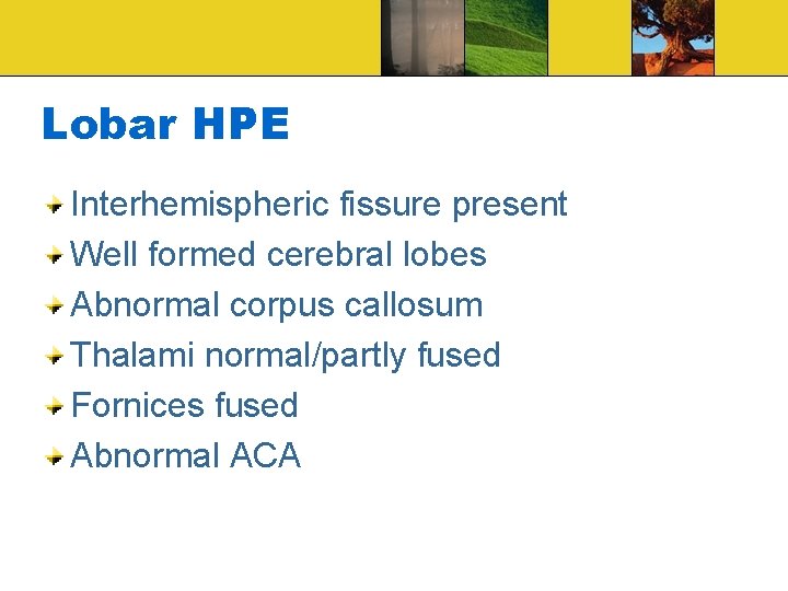 Lobar HPE Interhemispheric fissure present Well formed cerebral lobes Abnormal corpus callosum Thalami normal/partly