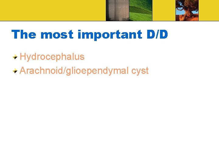 The most important D/D Hydrocephalus Arachnoid/glioependymal cyst 