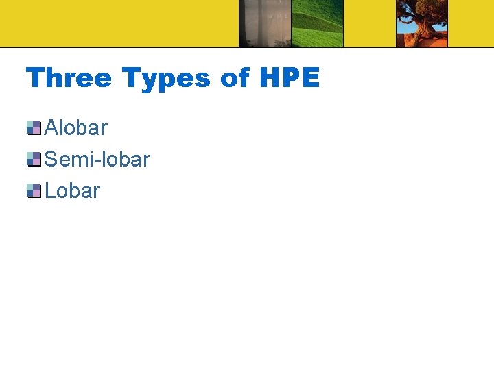 Three Types of HPE Alobar Semi-lobar Lobar 