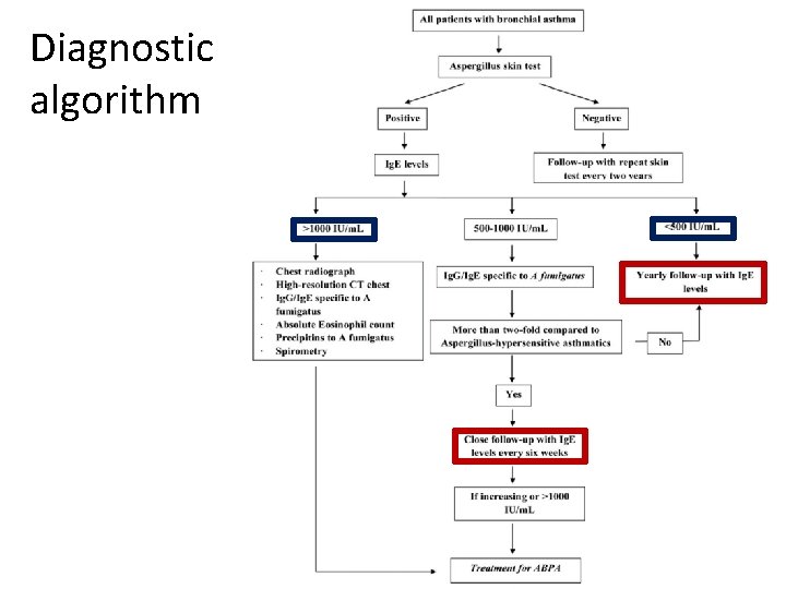 Diagnostic algorithm 