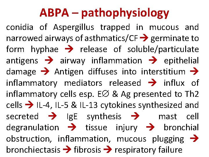 ABPA – pathophysiology conidia of Aspergillus trapped in mucous and narrowed airways of asthmatics/CF