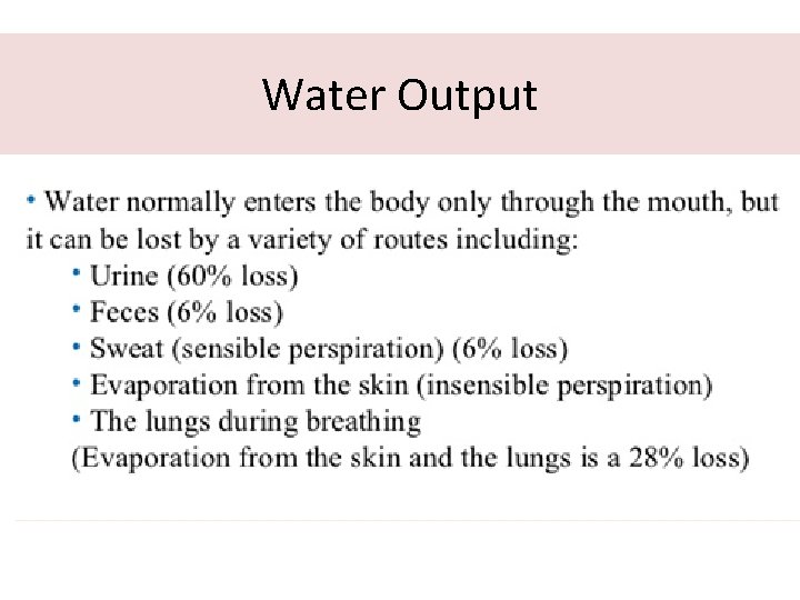 Water Output 