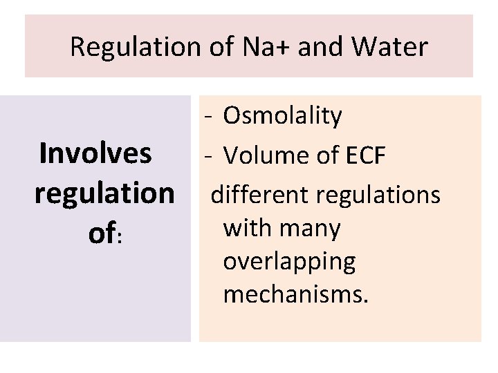 Regulation of Na+ and Water Involves regulation of: - Osmolality - Volume of ECF