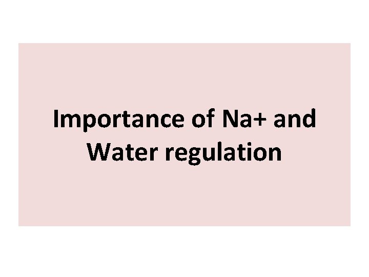 Importance of Na+ and Water regulation 