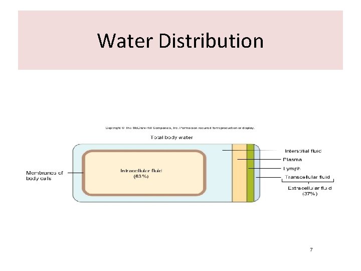 Water Distribution 