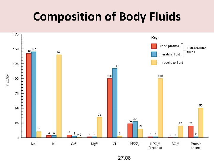 Composition of Body Fluids 