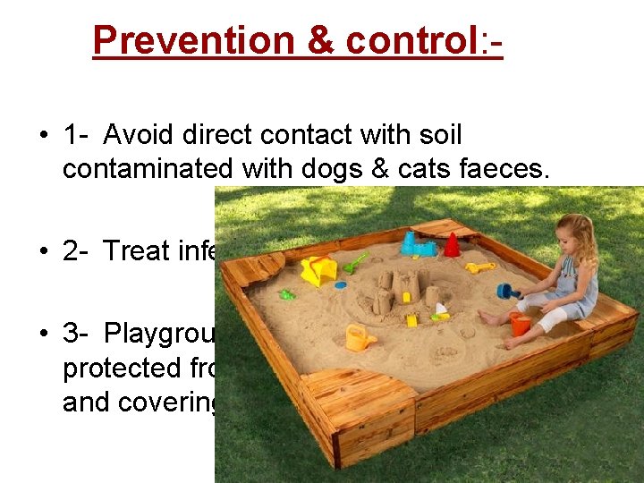 Prevention & control: • 1 - Avoid direct contact with soil contaminated with dogs