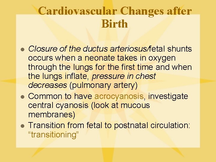 Cardiovascular Changes after Birth l l l Closure of the ductus arteriosus/fetal shunts occurs